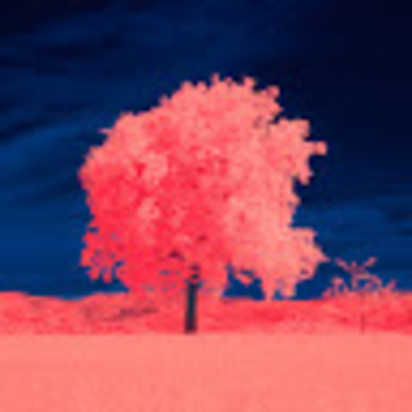 Meet your Posher, Mandy - Picture 1 of 1